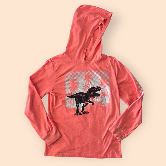 Cat & Jack Blue Dinosaur Tee and Arizona Orange T-Rex Long Sleeve Mini Bundle 🦖 - Picture 2 of 12